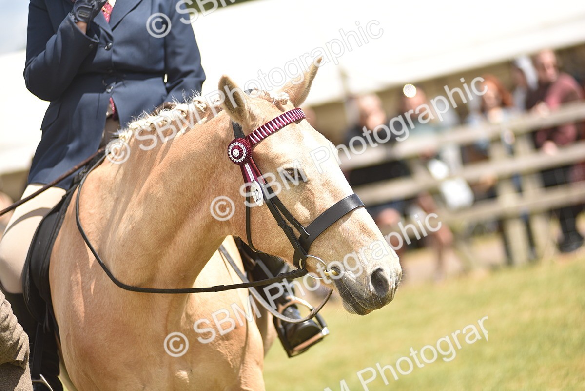 SBM_15858 - Class 115-116 - SSADL Home Produced Members Qualifier