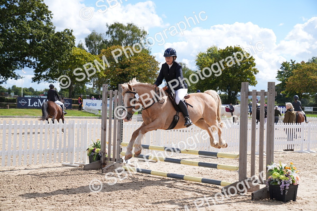 SBM_05126 - J35 Veteran 60cm Championship