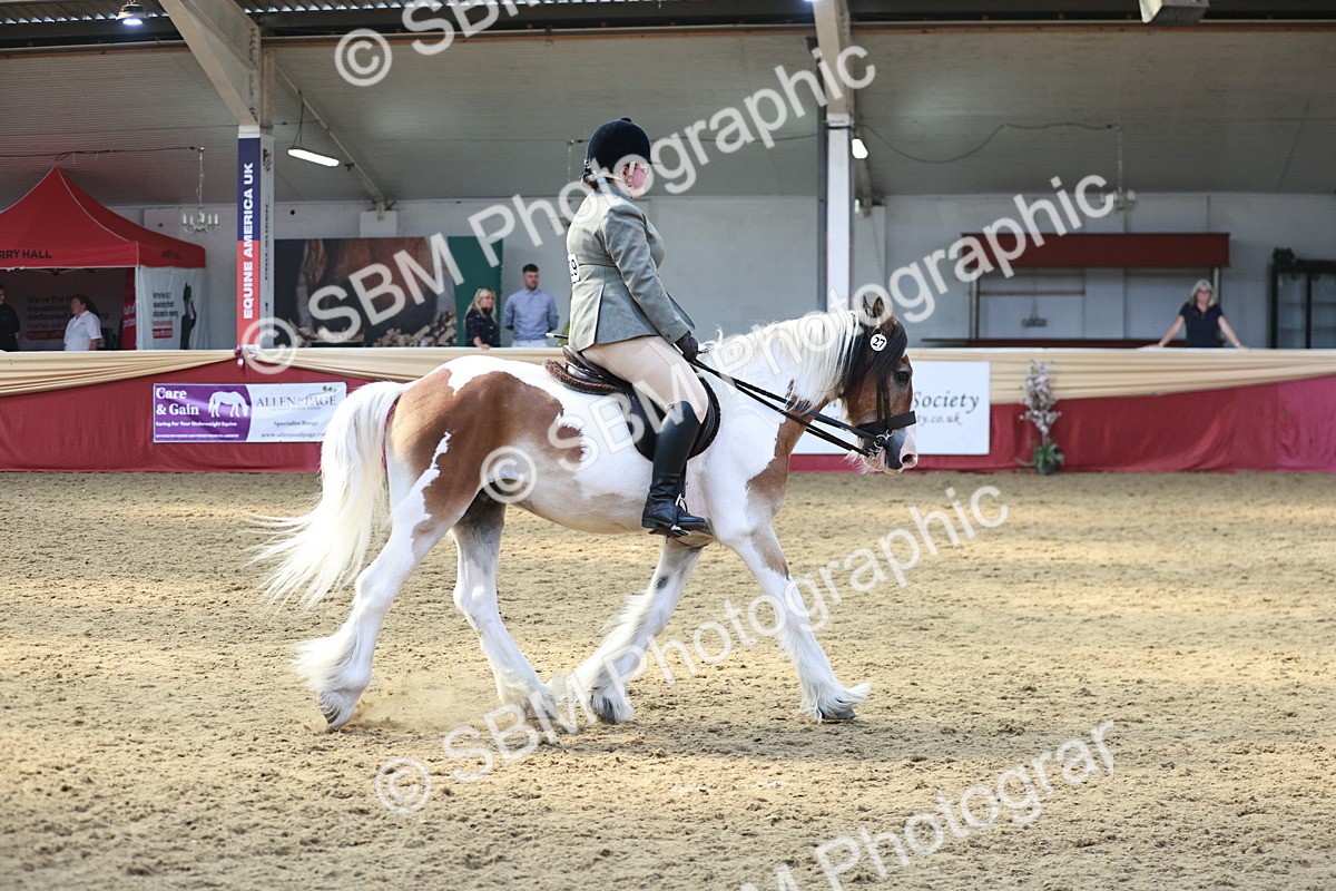 SBM_07104 - Class 10R - Regional Ridden Diamond