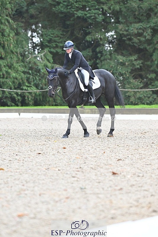 231019-104311-01944 - 102-BAGHEERA-Althea.Bleekman-DR