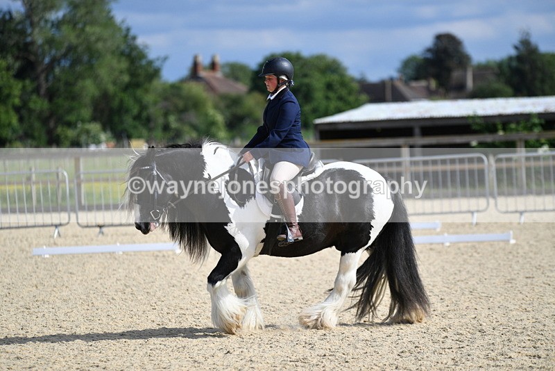 WJ5_7785 - Time 16:40 to 16:55