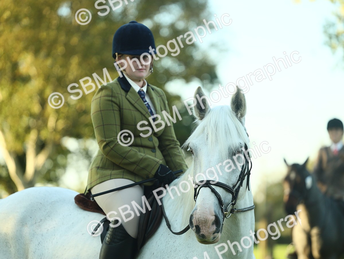 SBM_55605 - S14 - Riding Club Horse