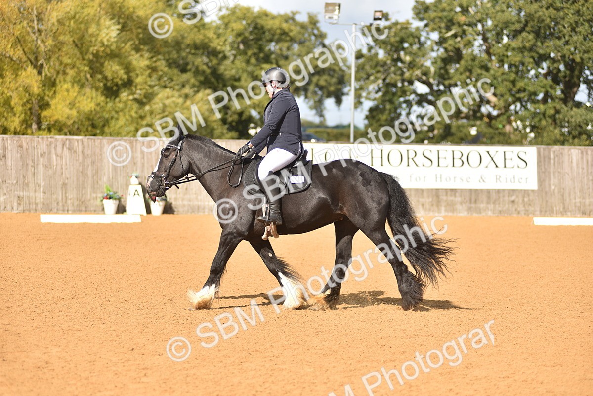 SBM_03031 - D4 - Small Tour Championship Intro 4