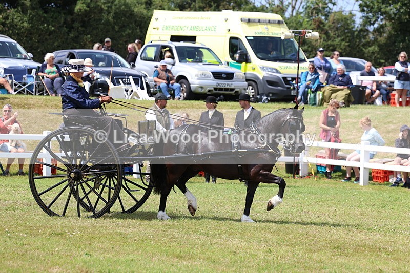 3E7A2689 - Class 12: Open Driving