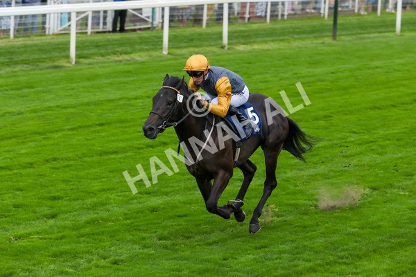 230823-Race 2-Indian Run-4134 - Race 2 2.25pm Tattersalls Acomb Stakes