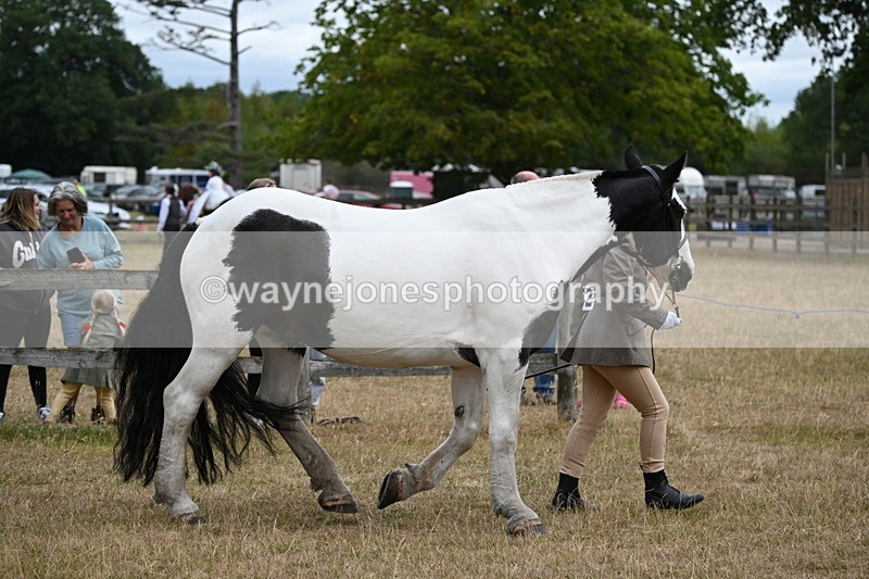 WJ6_8375 - Class 10 Coloured in Hand