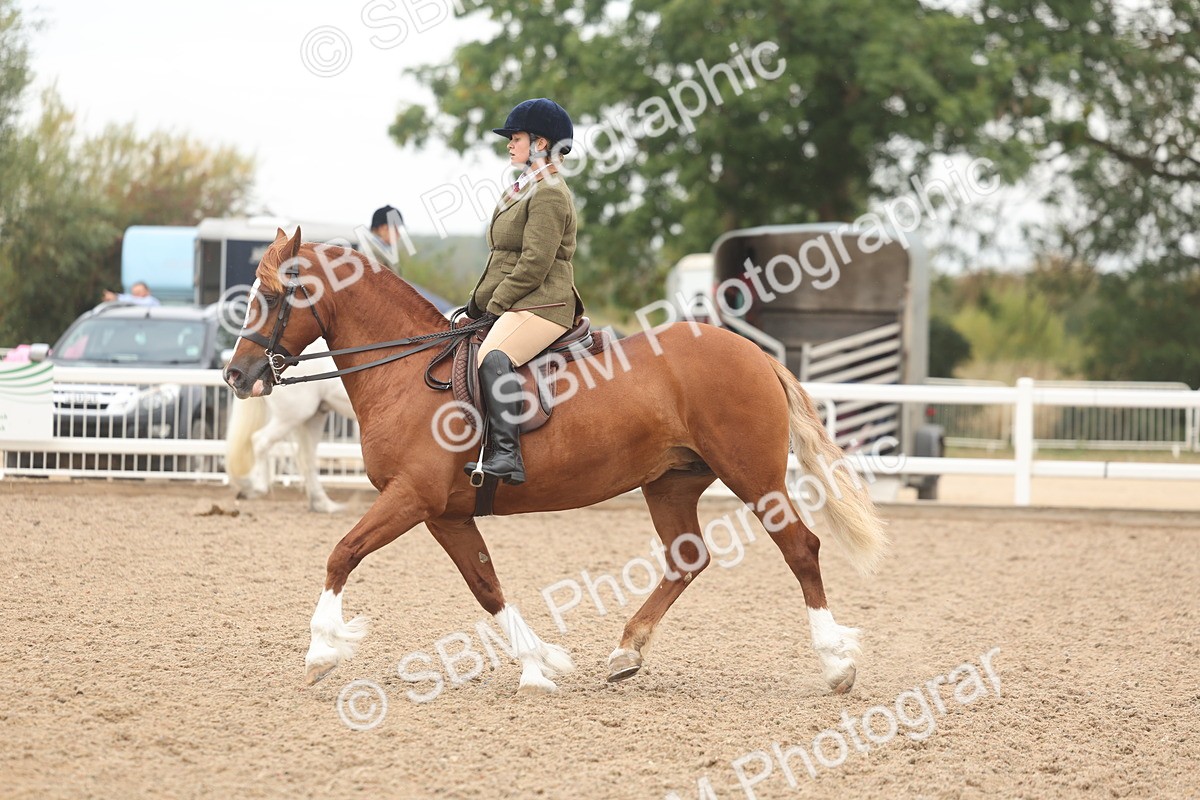 SBM_01916 - Class 14 - Ridden M&M Wildcard