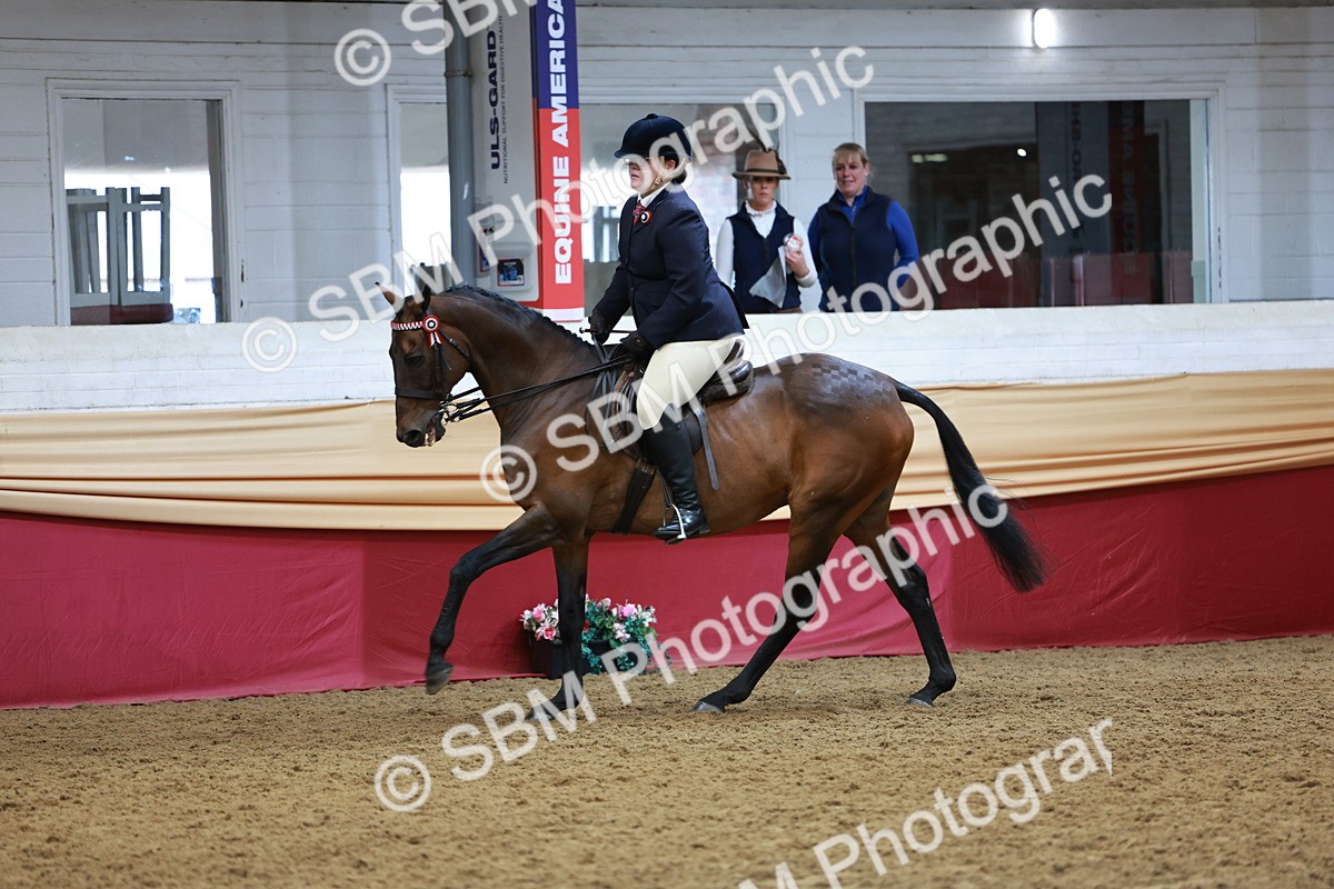 SBM_14945 - Class 108 - Ridden Retired Racehorse
