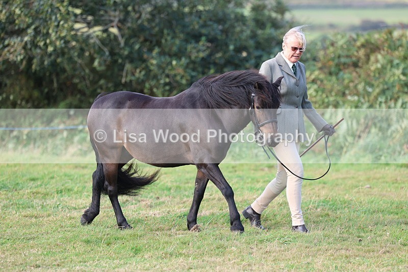 3E7A3115 - Class 12: M & M Small Breeds