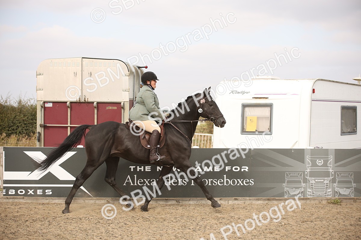 SBM_16249 - Class 409a - Working Veteran 80cm (15-19)