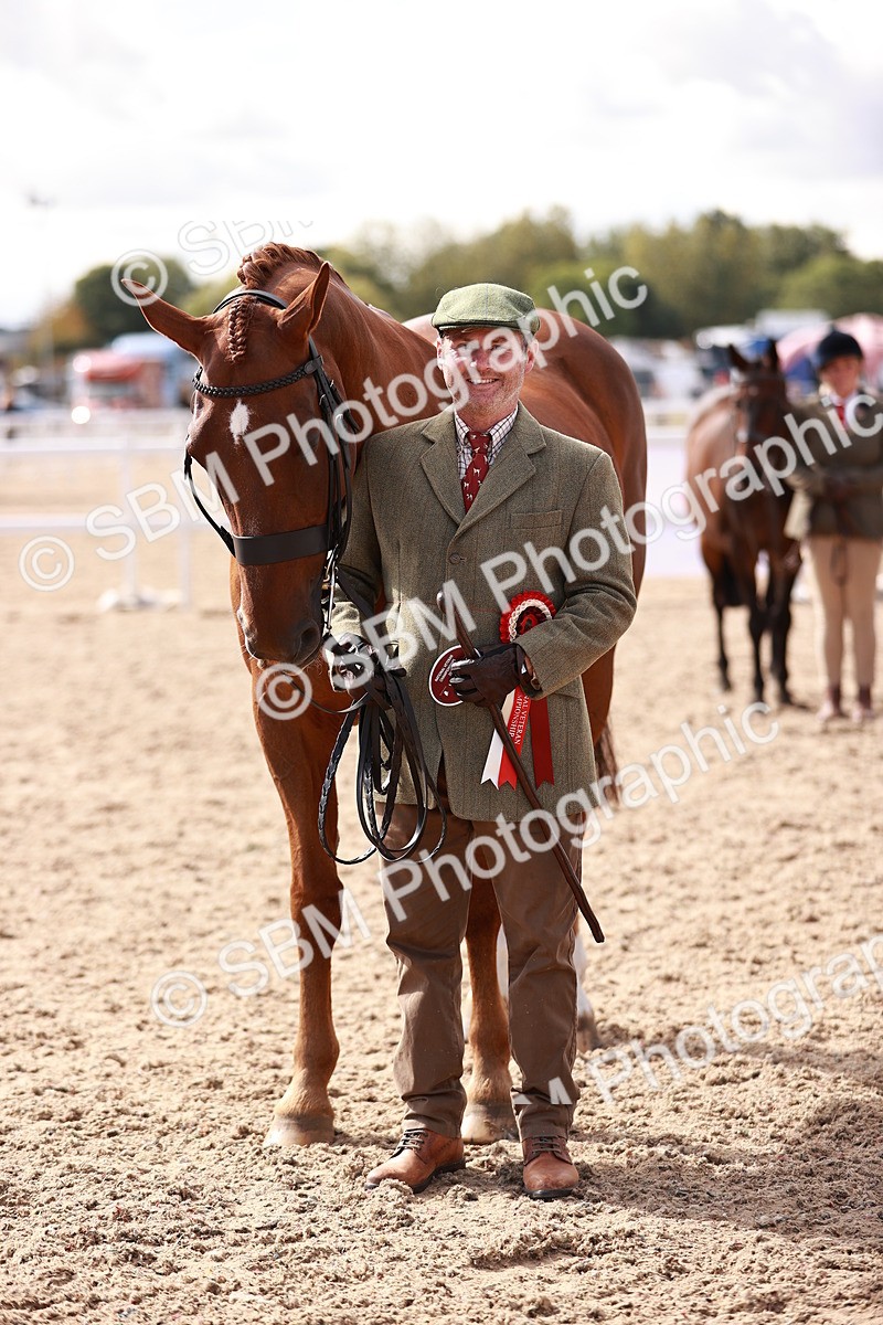 SBM_13354 - class 406 - IH Hunter