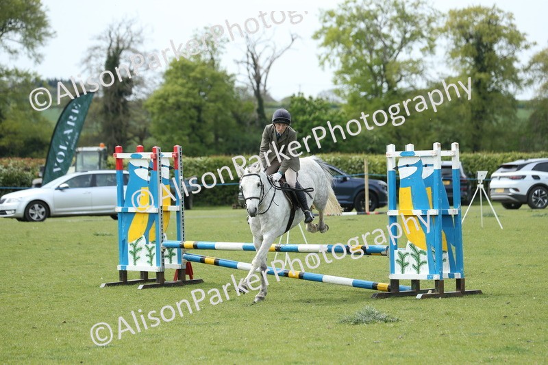 20260426-2098 - Class 15 - Absolute Novice 70cm
