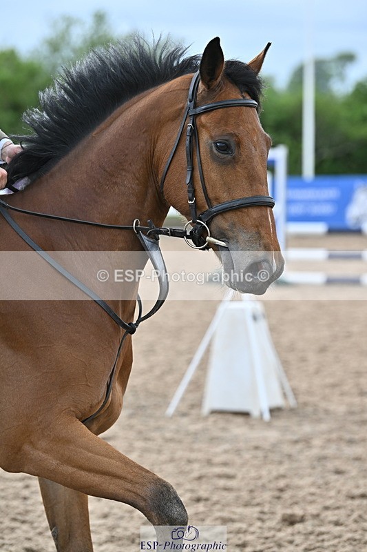 240514A-165636-00153 - 70cm