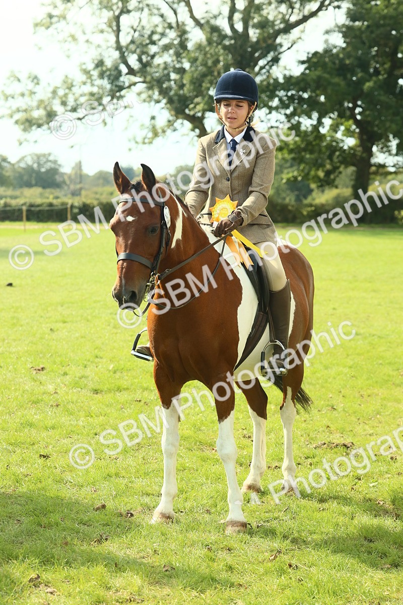 SBM_68981 - S58 - Mini Show Cob Ridden