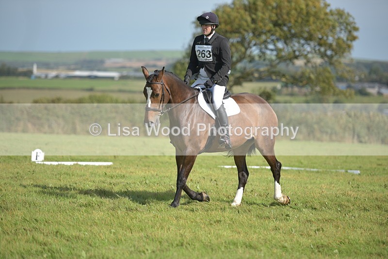 RAY_8018 - Class 2B: Trekenning Open: Dressage