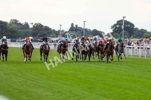 230823-Race 6-Designer-4555 - Race 6 4.45pm IRE Incentive, It Pays To Buy Irish Fillies' Handicap