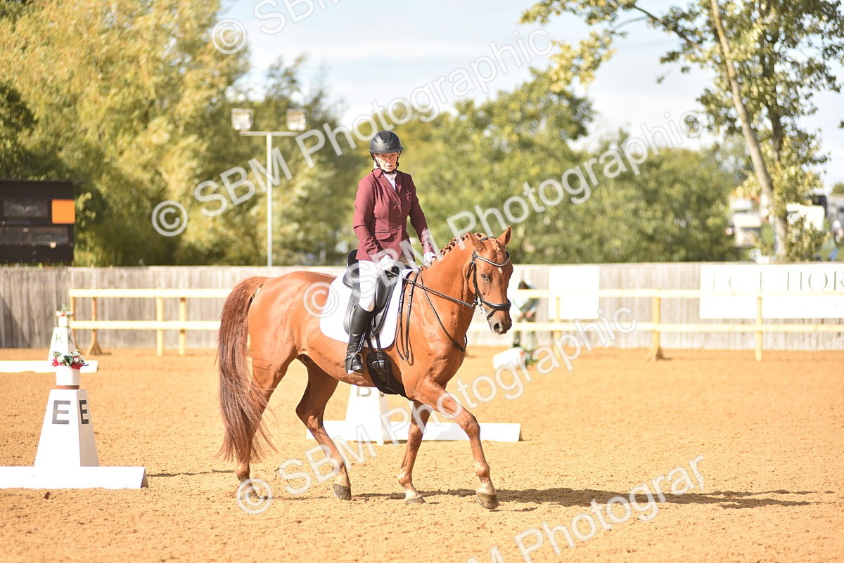 SBM_10180 - D15 - Small Tour Championship Novice 1