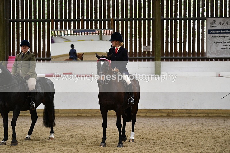 WJ5_8044 - Class 13 Ridden Part Breed
