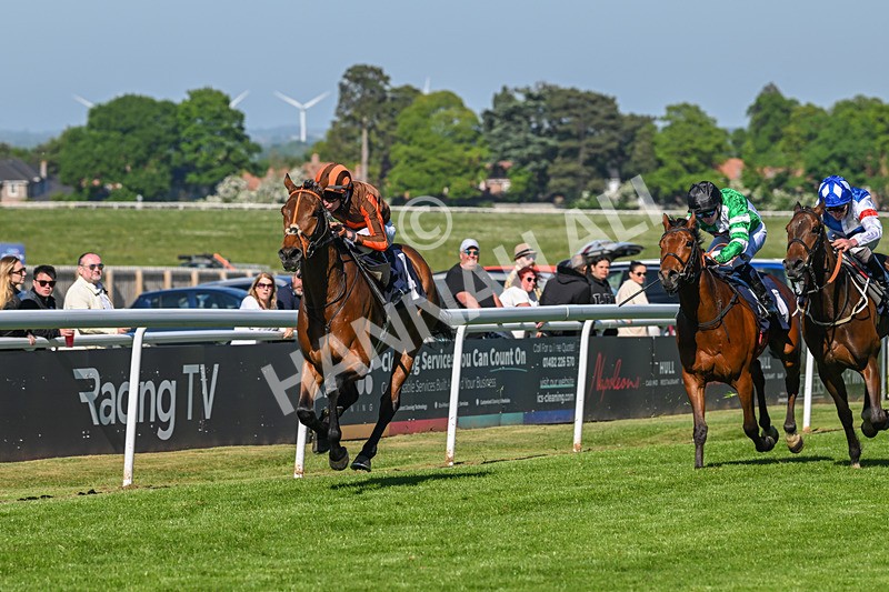 130525-Race 6-Analogical-0414 - Race 6