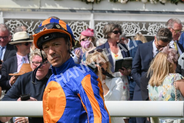 yr18082021r3-8 - Race 3 3.00pm Sky Bet Great Voltigeur Stakes