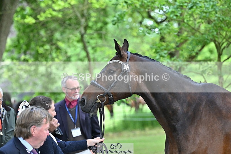 250521A-150913-00299 - B-302-Samantha.Lissington-LUCAS.STONE