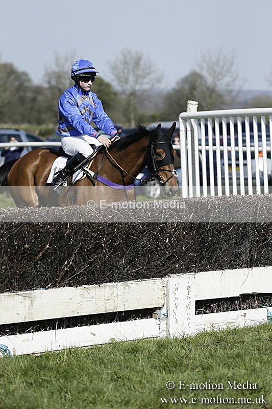 PtP 260317 152 - Mendip Farmers Point-to-Point Ston Easton 26/03/17