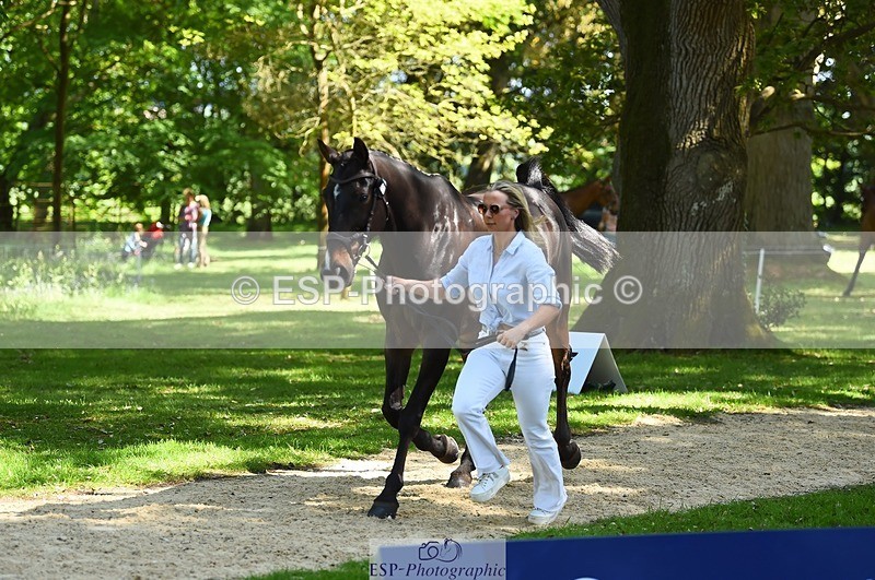 230524-152914-00299 - 351-TRINITY_CAVALIER-Henrietta_Horsley-gubbins-WEDTrotUp+DR