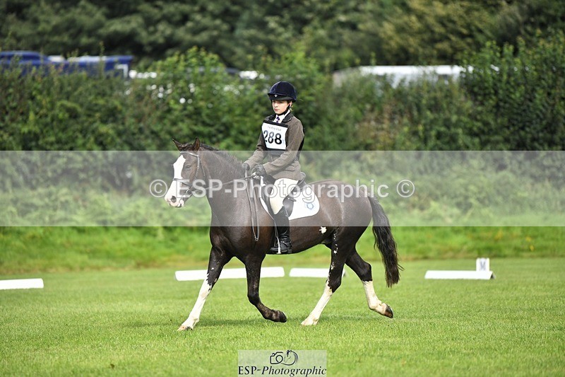 230826-100325-15341 - Sections C & D 9 to 10am