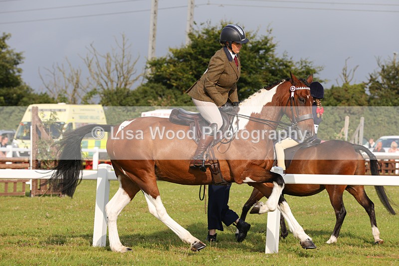 1X9A2907 - Class 25: Ridden Plaited Coloured Horse