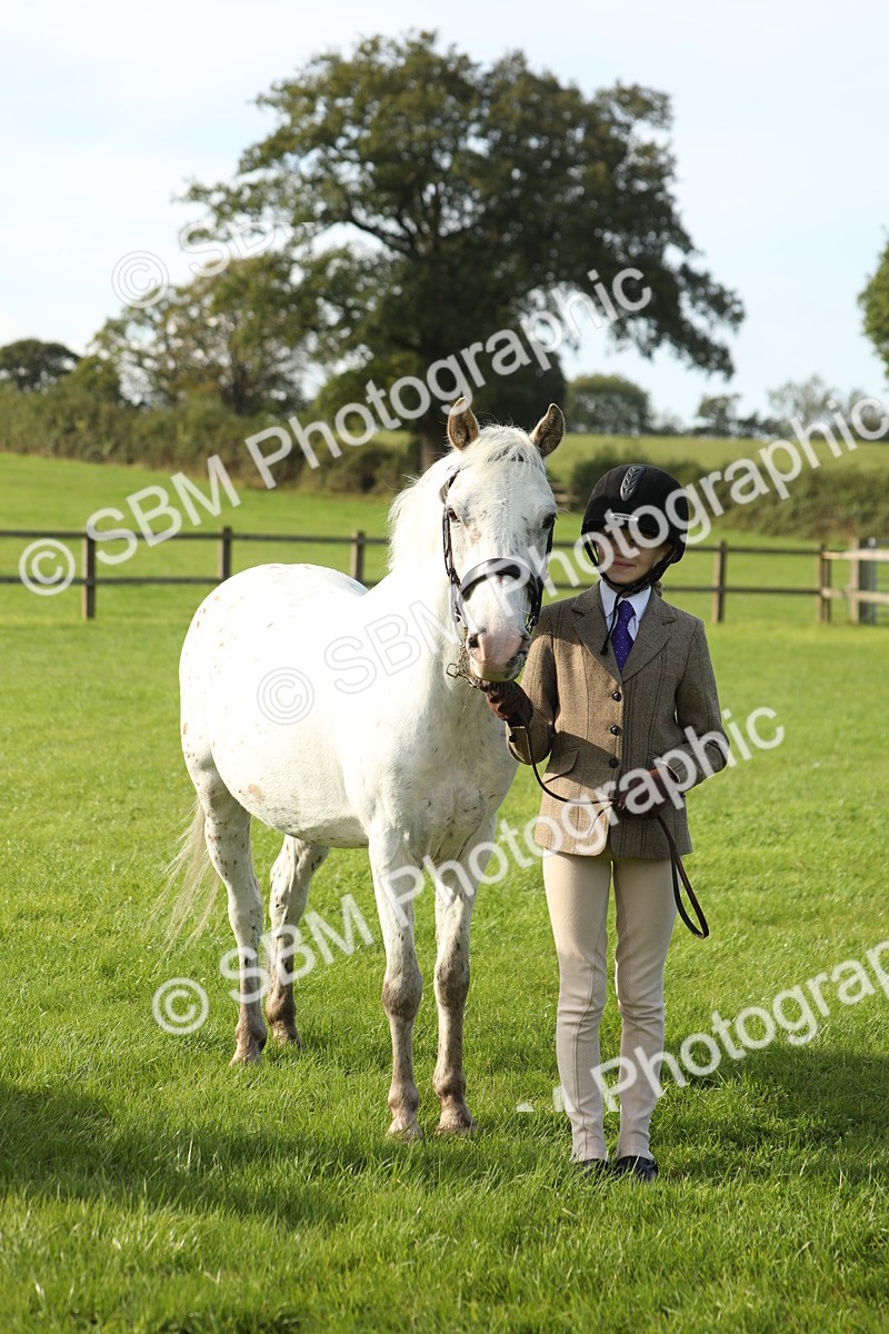 SBM_60989 - S43 - Coloured Pony In Hand