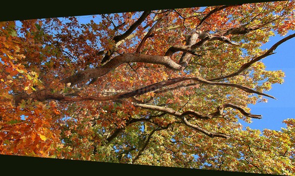 Art and Nature - Art And Nature