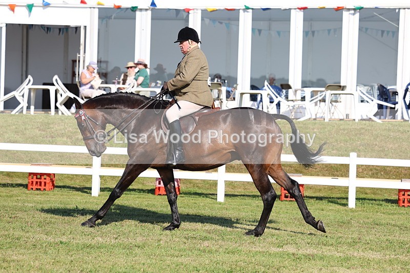 3E7A5454 - Class 2: Rising Star Large Hack/Riding Horse