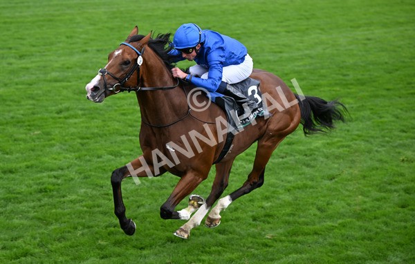200825-159 Ombudsman - Race 4 3.35pm Juddmonte International Stakes