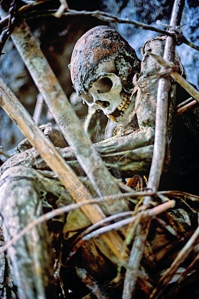 Body in Basket - Papua New Guinea - PEOPLE