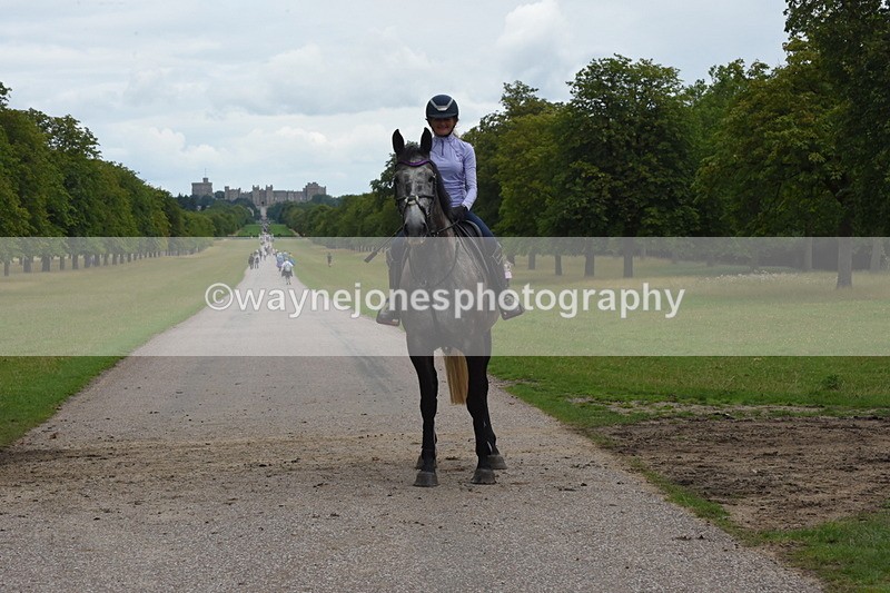 TT3_9954 - Time at Crossing 13:17 to 14:48