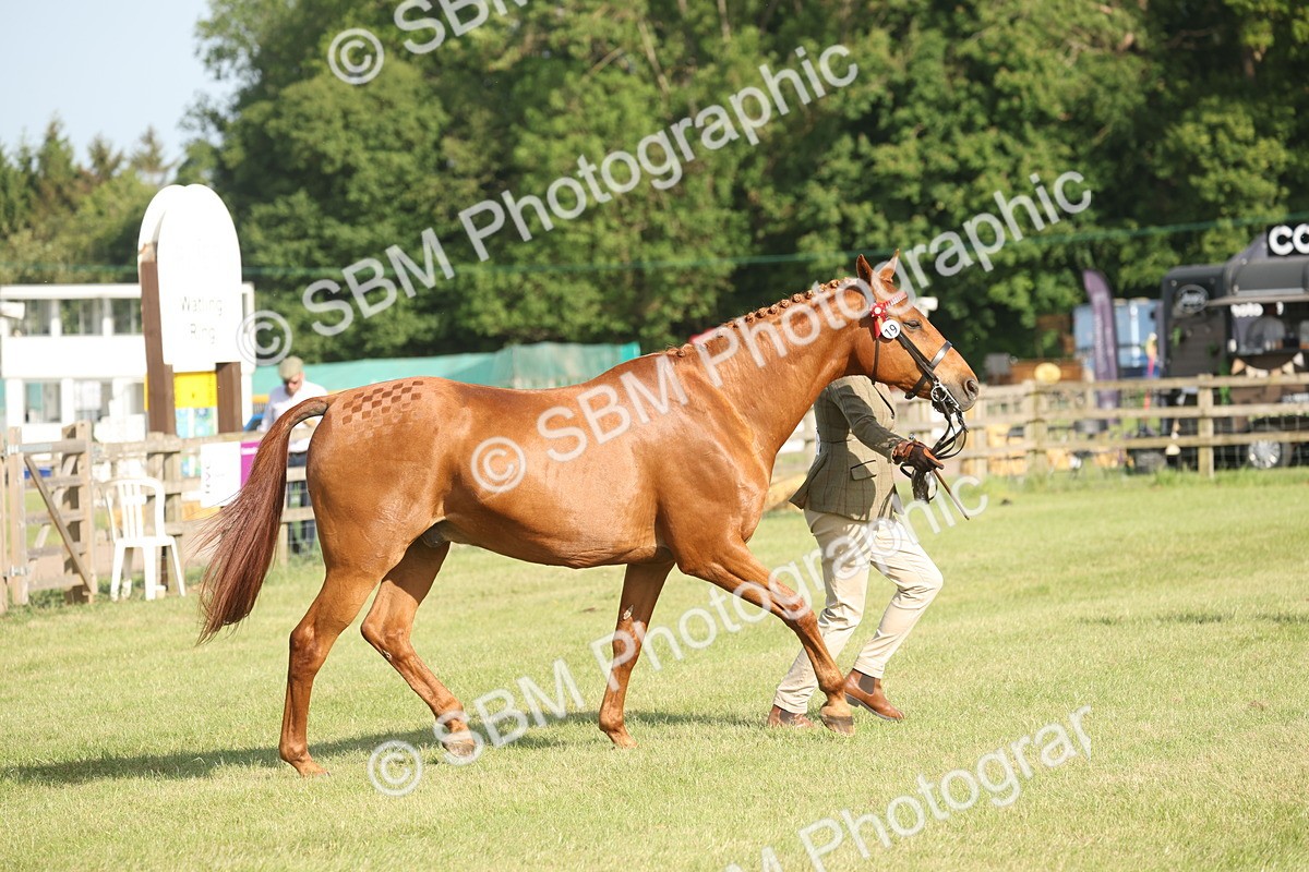 SBM_10455 - Class 33-38 - SSADL RIHS Qualifiers
