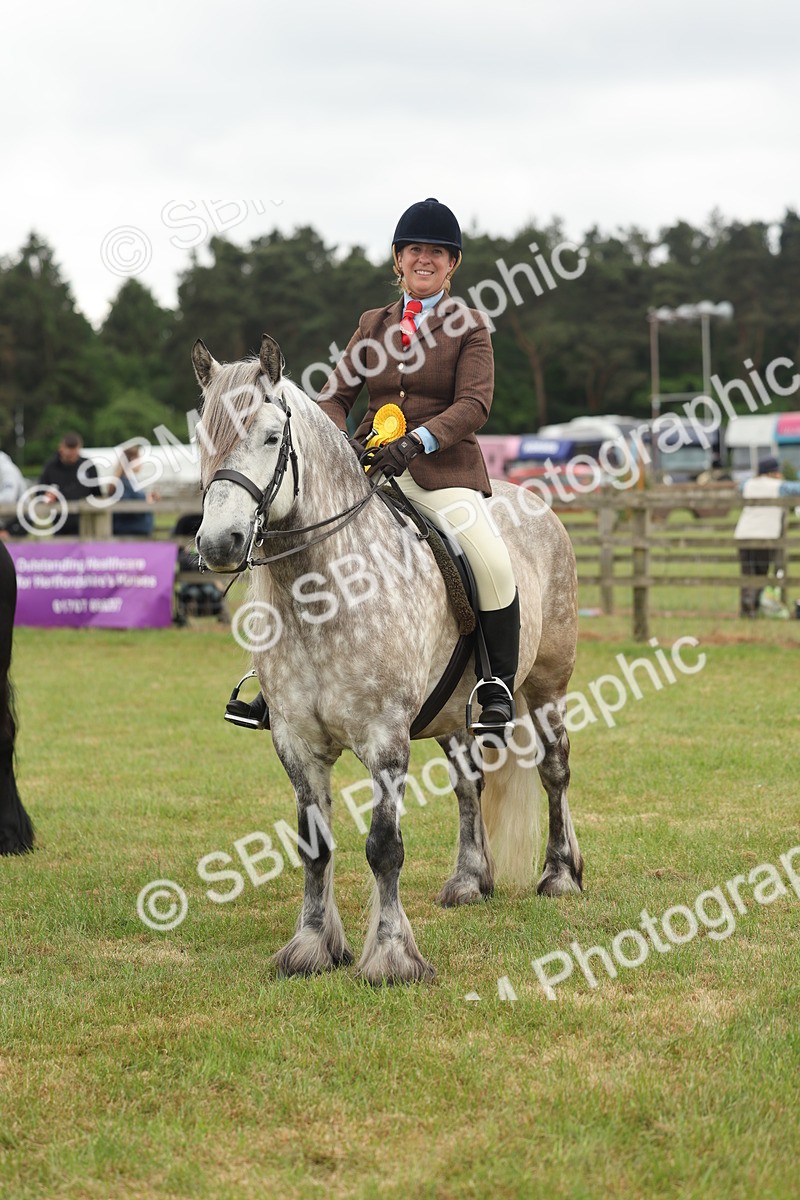 SBM_09054 - Class 78-80 - Ridden M&M Non Welsh Ponies