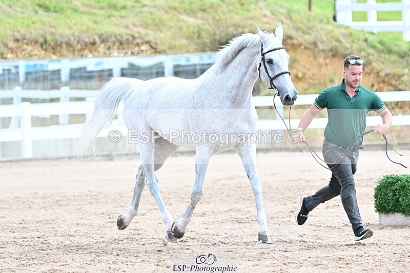 240717A-144052-02189 - Trot Up 2pm to 3pm - This folder is not in time order
