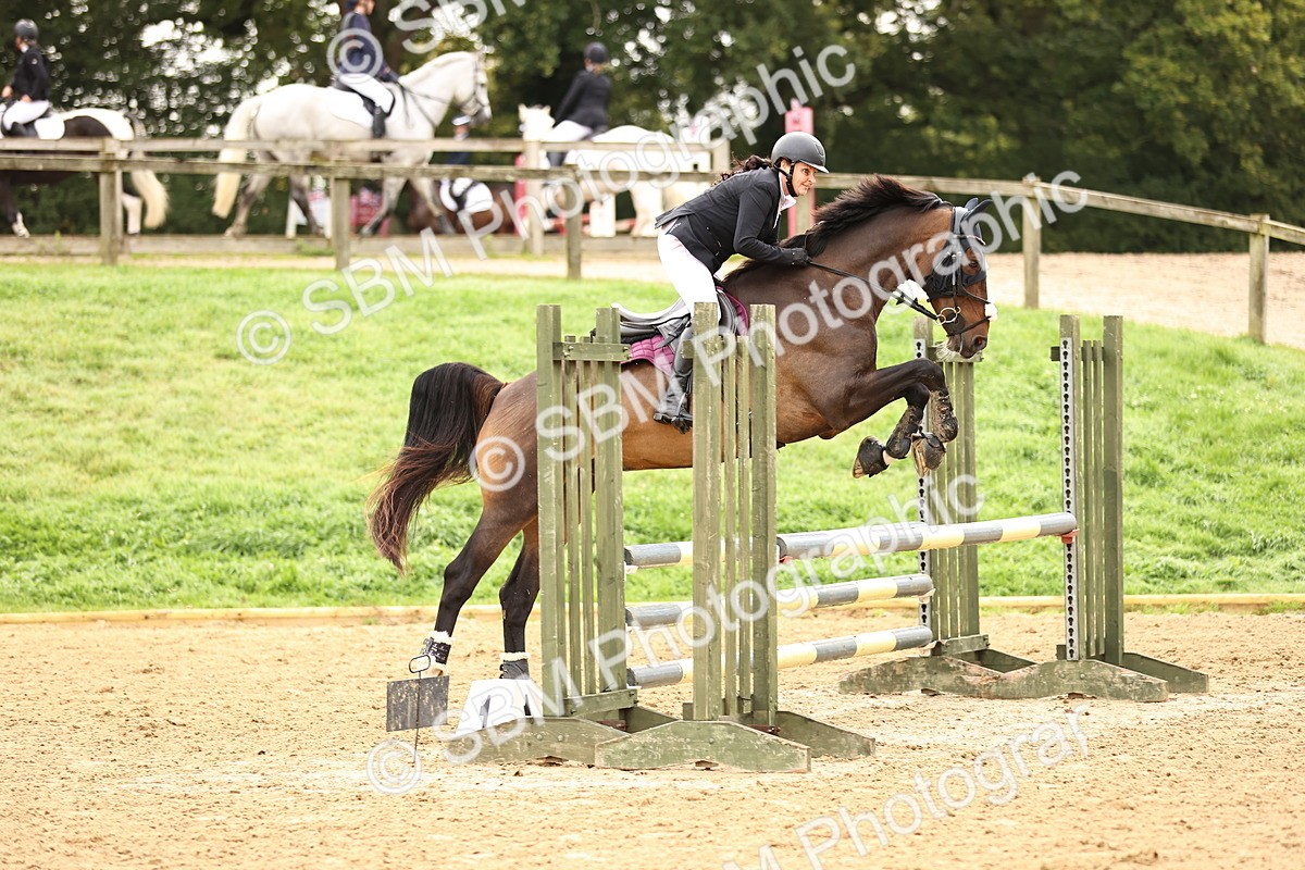 SBM_58541 - J41 - Grand Tour Horse & Pony 95cm