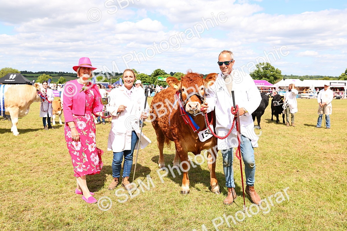 SBM_17028 - Grand Parade