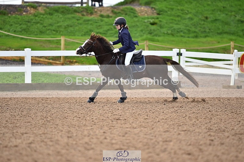 231029A-110452-02542 - Pony British Novice & 80cm Open