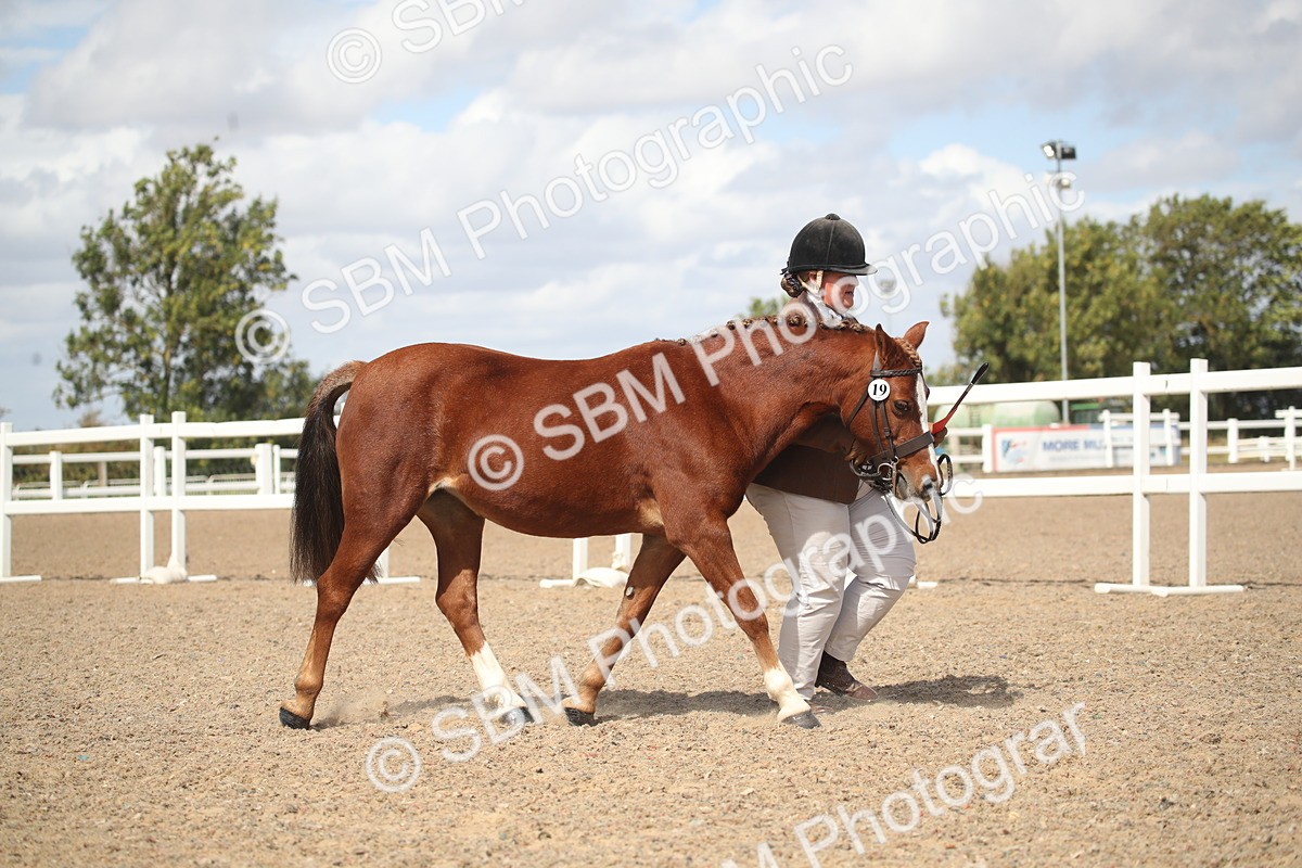 SBM_23184 - Class 606 - 2026 - Area - IH Pre Vet