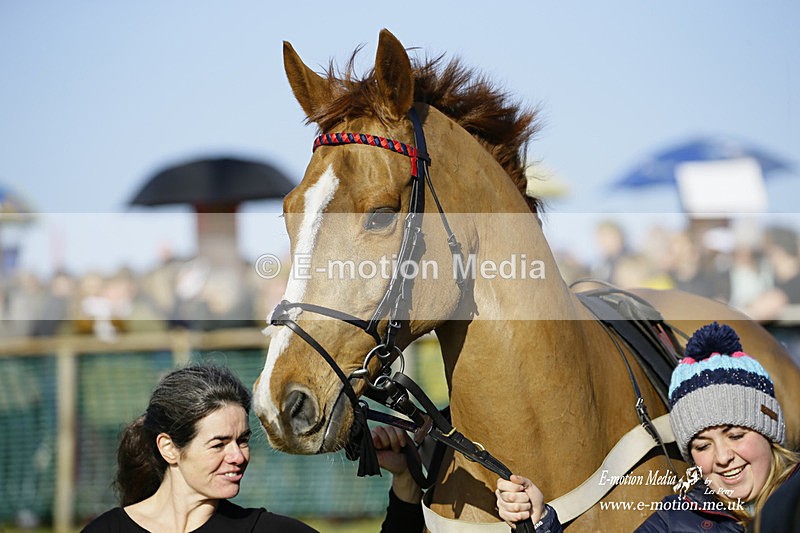 PtP 300122 57 - South Dorset Hunt - Point-to-Point Races 30/01/2022