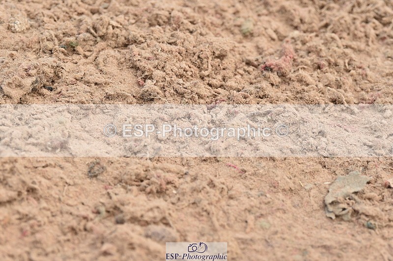 230611A-093536-04543 - Cls 31 British Novice & Open