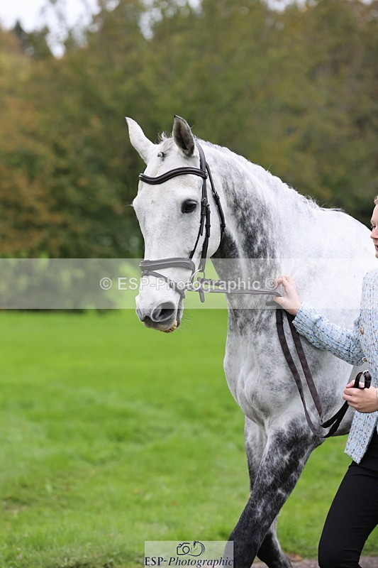 251026A-112715-25451 - H-602-Alice.Sandiford