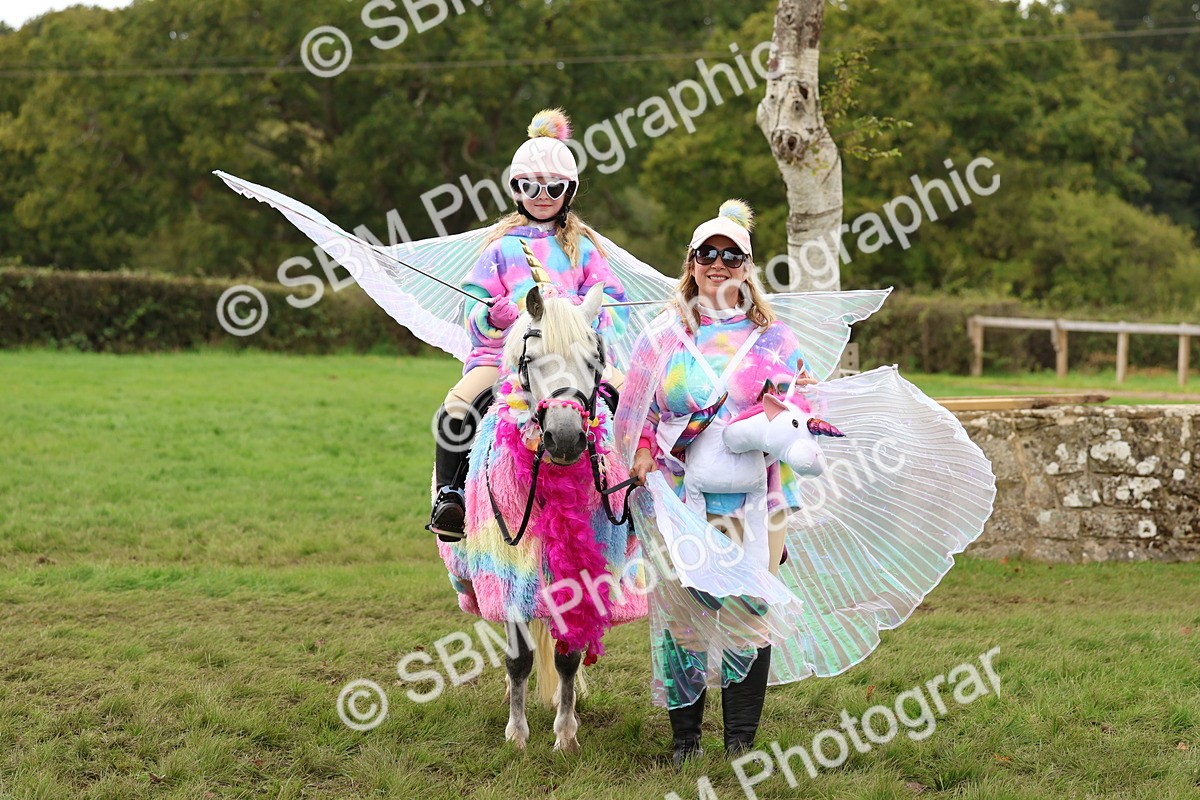 SBM_62179 - S37b - Best Unicorn