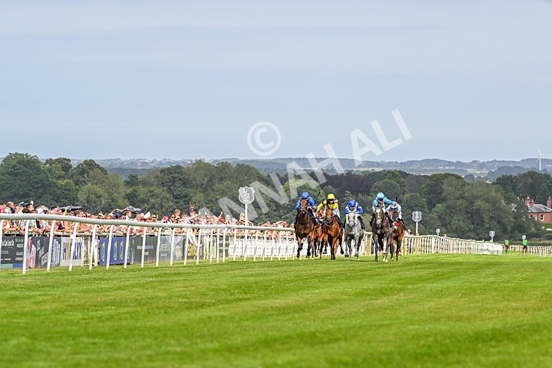 140824-Race 5-Havana Blue-3718 - Race 5