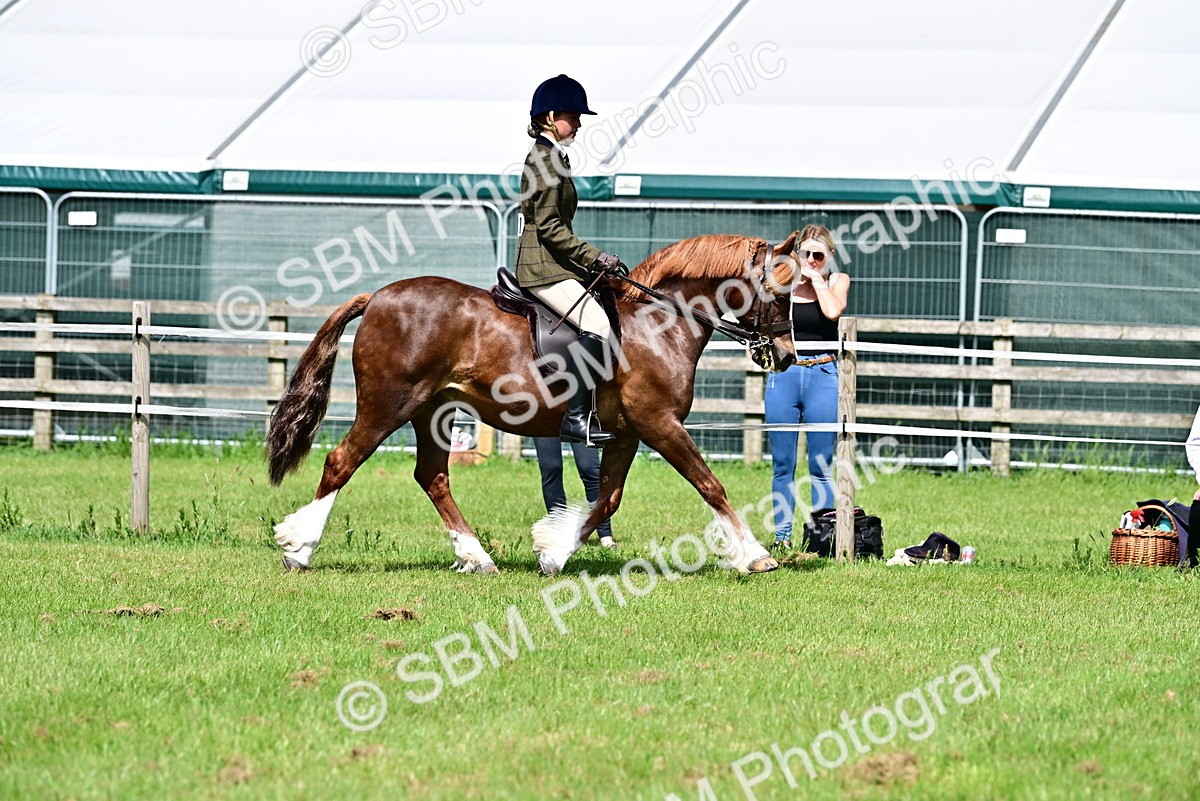 SBM_03714 - Class 58 - TSR  Ridden Veteran Amateur of the year