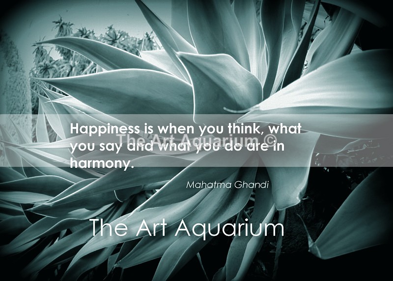 The Art Aquarium - Rachael Inchboard