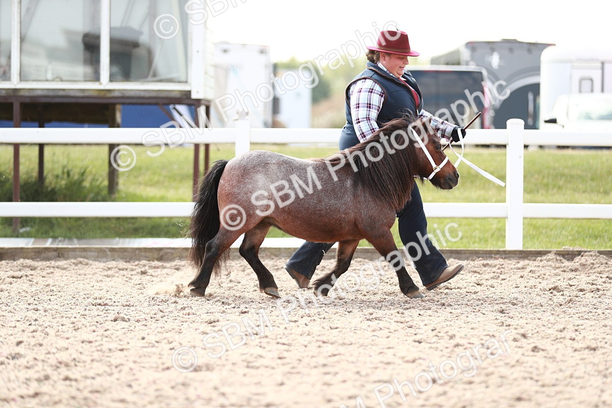 SBM_13889 - Class 209 IH Veteran Pony